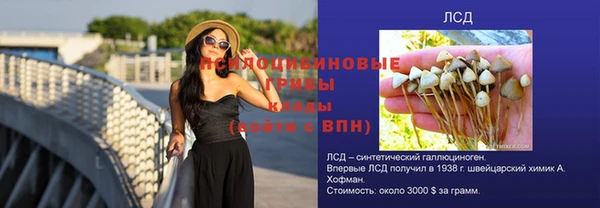герыч Белая Холуница
