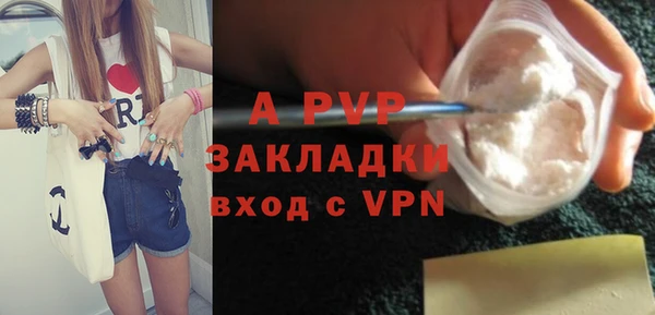 шишки Бежецк
