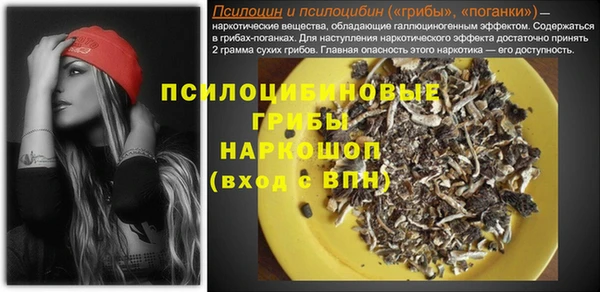 герыч Белая Холуница