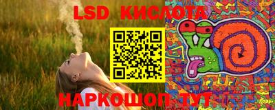 шишки Берёзовский