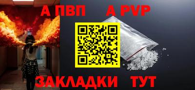 шишки Берёзовский