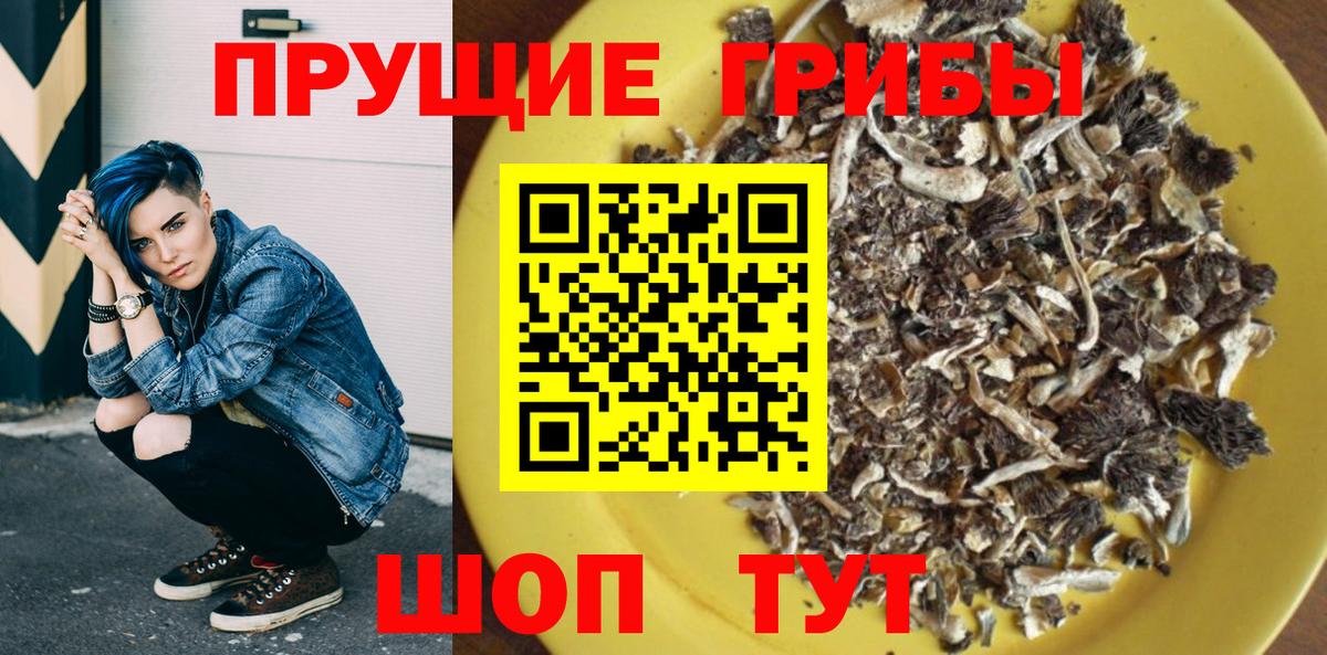 Галлюциногенные грибы прущие грибы  Вход с VPN  купить наркотик  Псилоцибиновые грибы Psilocybe  Дмитров 