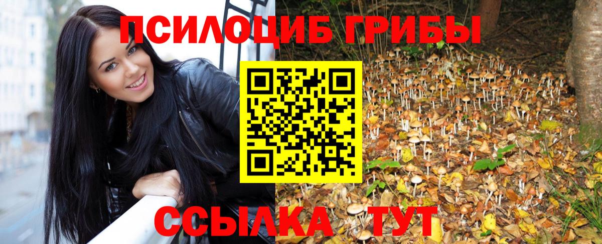 Галлюциногенные грибы Cubensis Дмитров