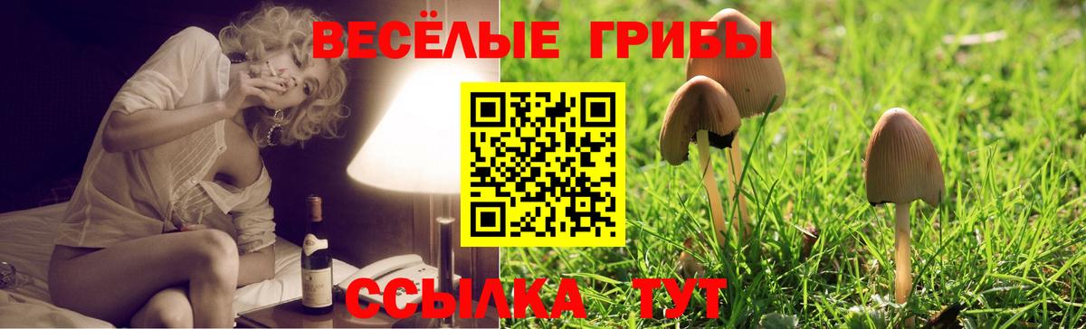 Бутират Дмитров