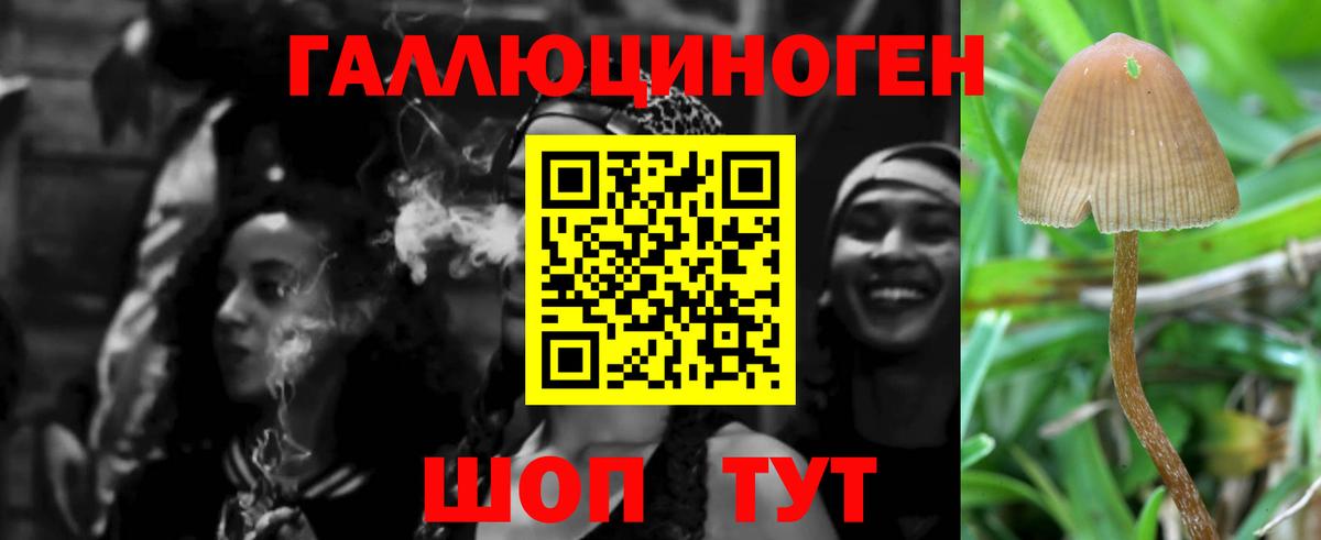 Галлюциногенные грибы GOLDEN TEACHER  Дмитров 